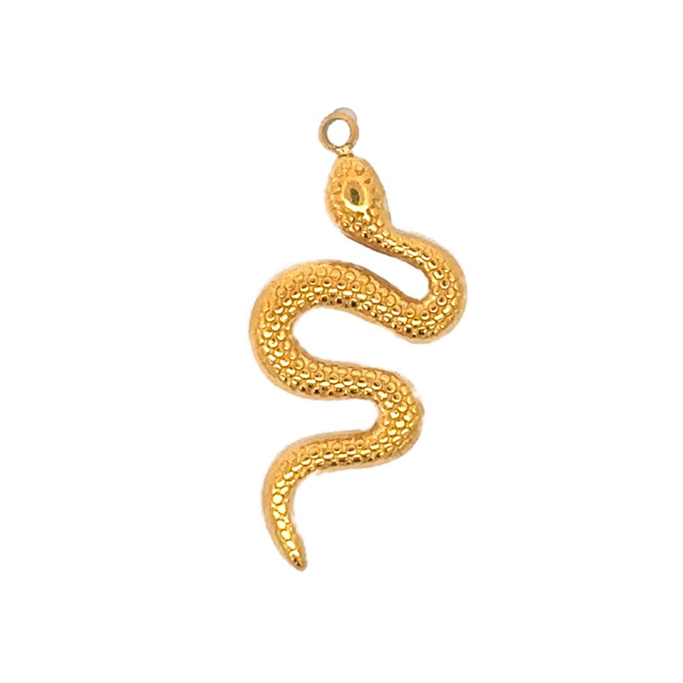 Coil Snake Charm