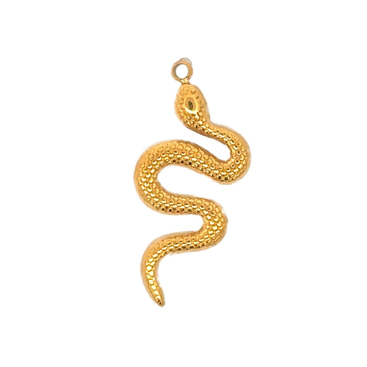 Coil Snake Charm
