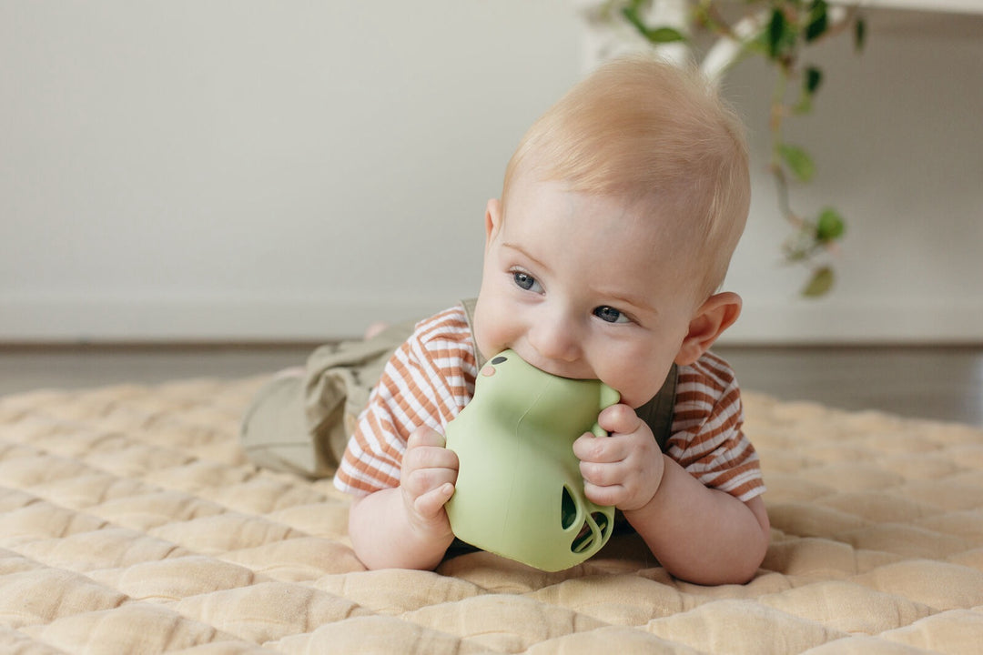 Silicone Rattle - Dino