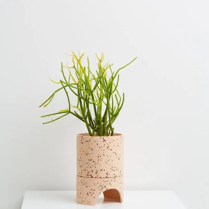 Archie Pot - Salt Terrazzo