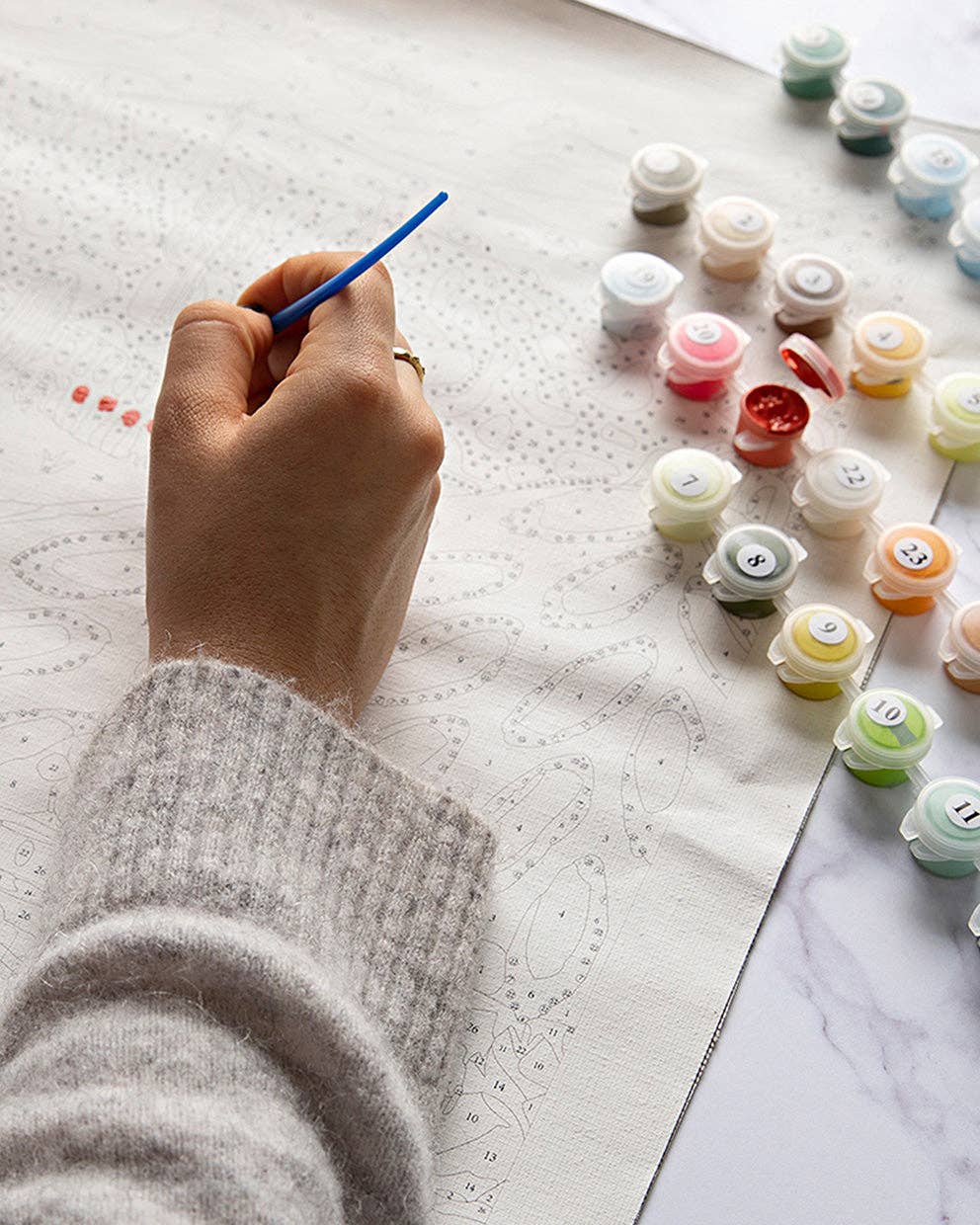 Paint by Numbers - Bowl of Oranges